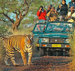 Ranthambore National Park